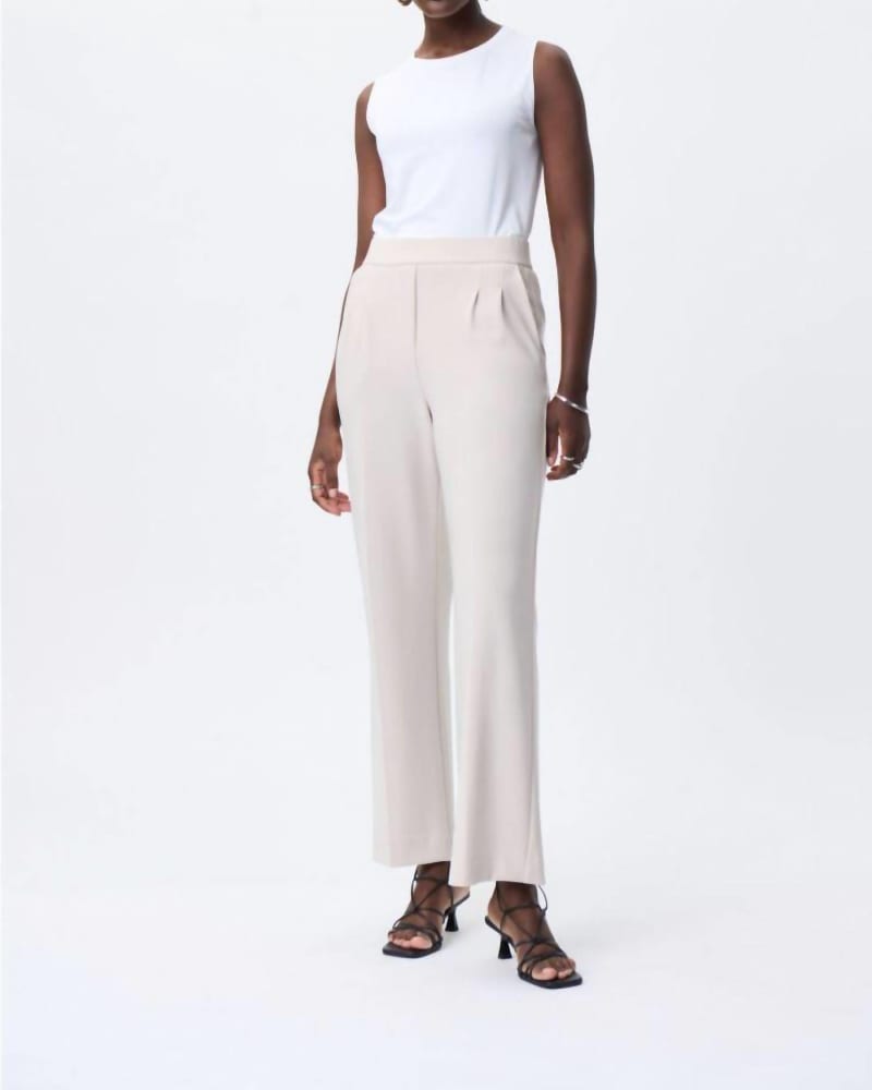 Front of a model wearing a size 12 Wide Leg Pants In Moonstone in Moonstone by Joseph Ribkoff. | dia_product_style_image_id:356313